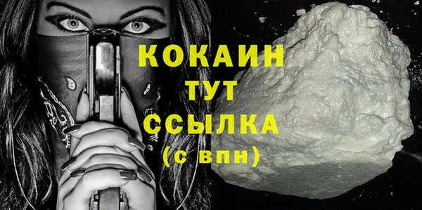 прущая мука Вяземский