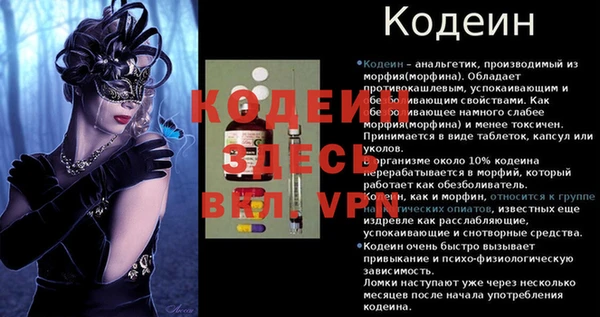 прущая мука Вяземский