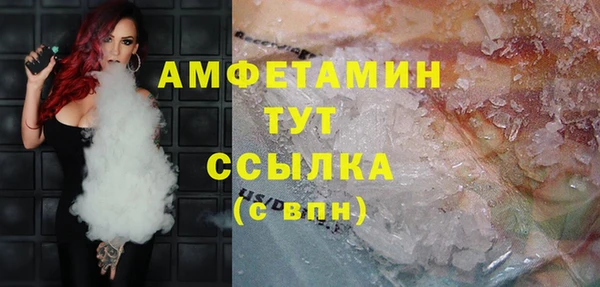 прущая мука Вяземский