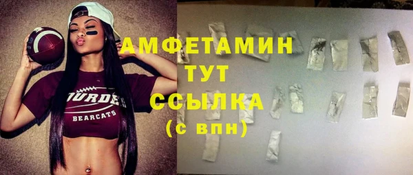 ешки Горняк