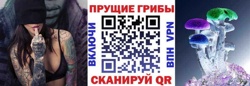 Галлюциногенные грибы Magic Shrooms  Купить закладки  Дальнегорск 